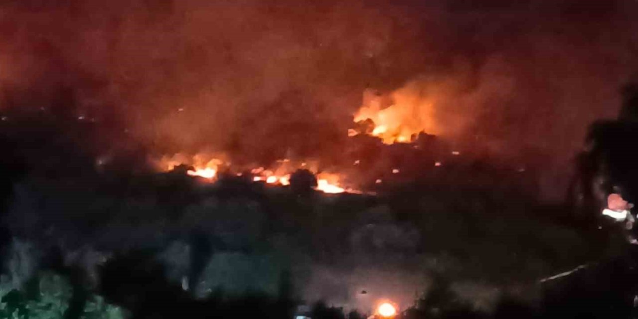 Dikili’de orman yangını: Çanakkale yolu ulaşıma kapatıldı