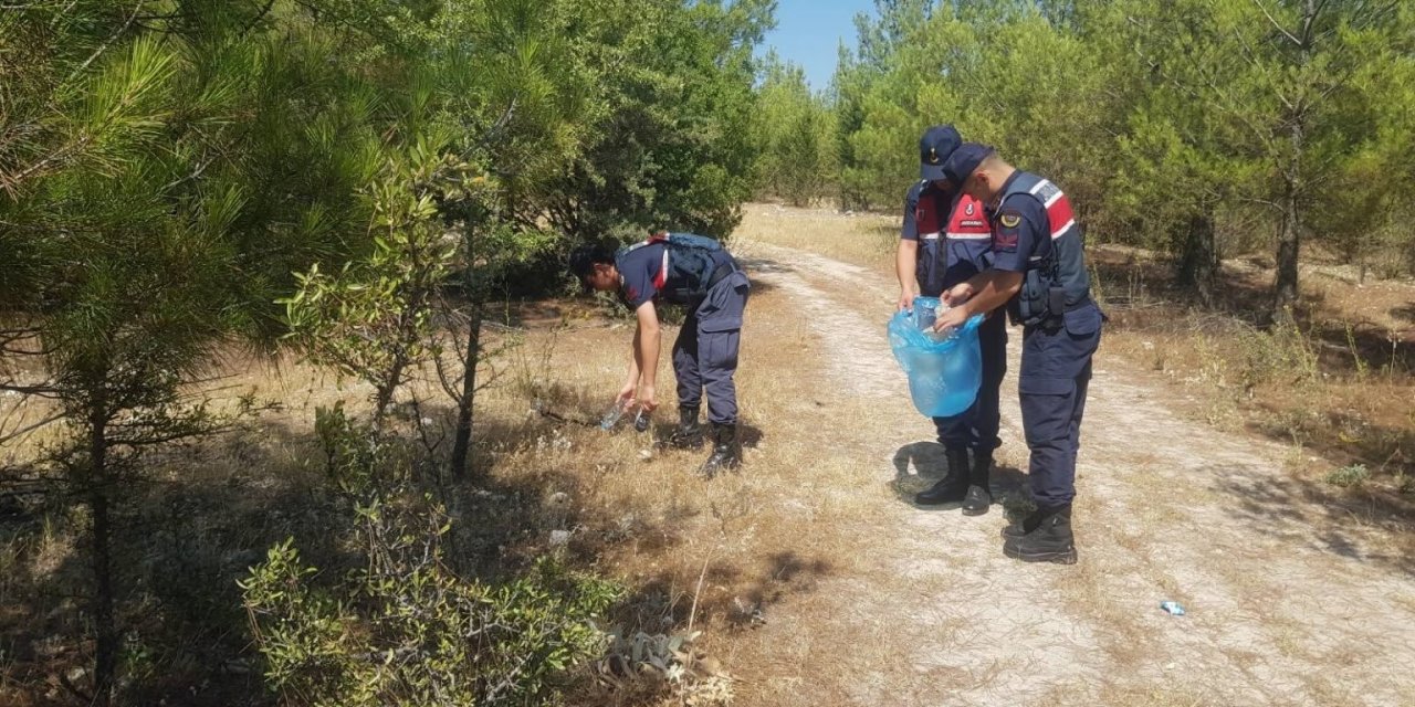 Ormanlık alanlara sıkı denetim