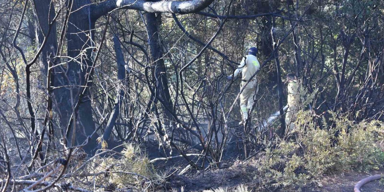 Kemalpaşa’da tırdan ormanlık arana sıçrayan yangın kontrol altında