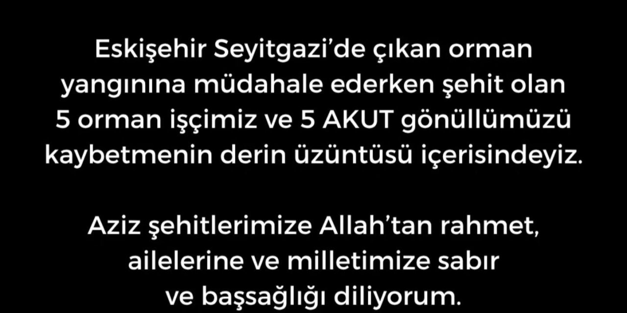 Başkan Tatık, orman yangını şehitleri için başsağlığı mesajı yayımladı