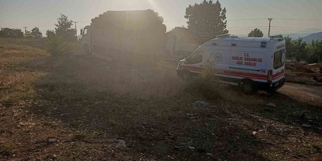 Kamyondan kayan tomrukların altında kalan 1 kişi hayatını kaybetti