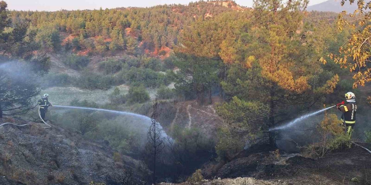 Araç yangınıyla başlayan orman yangını kısa sürede söndürüldü