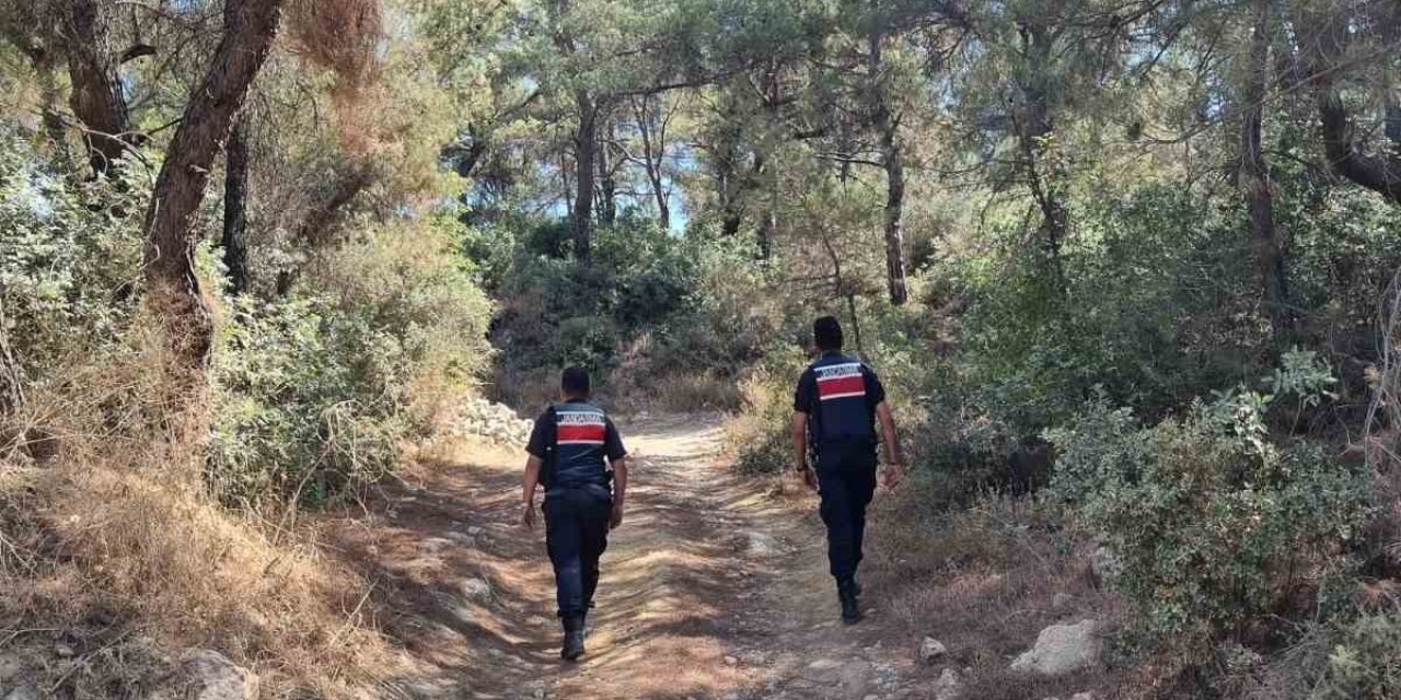 Ormanlar hem karadan hem havadan korunuyor