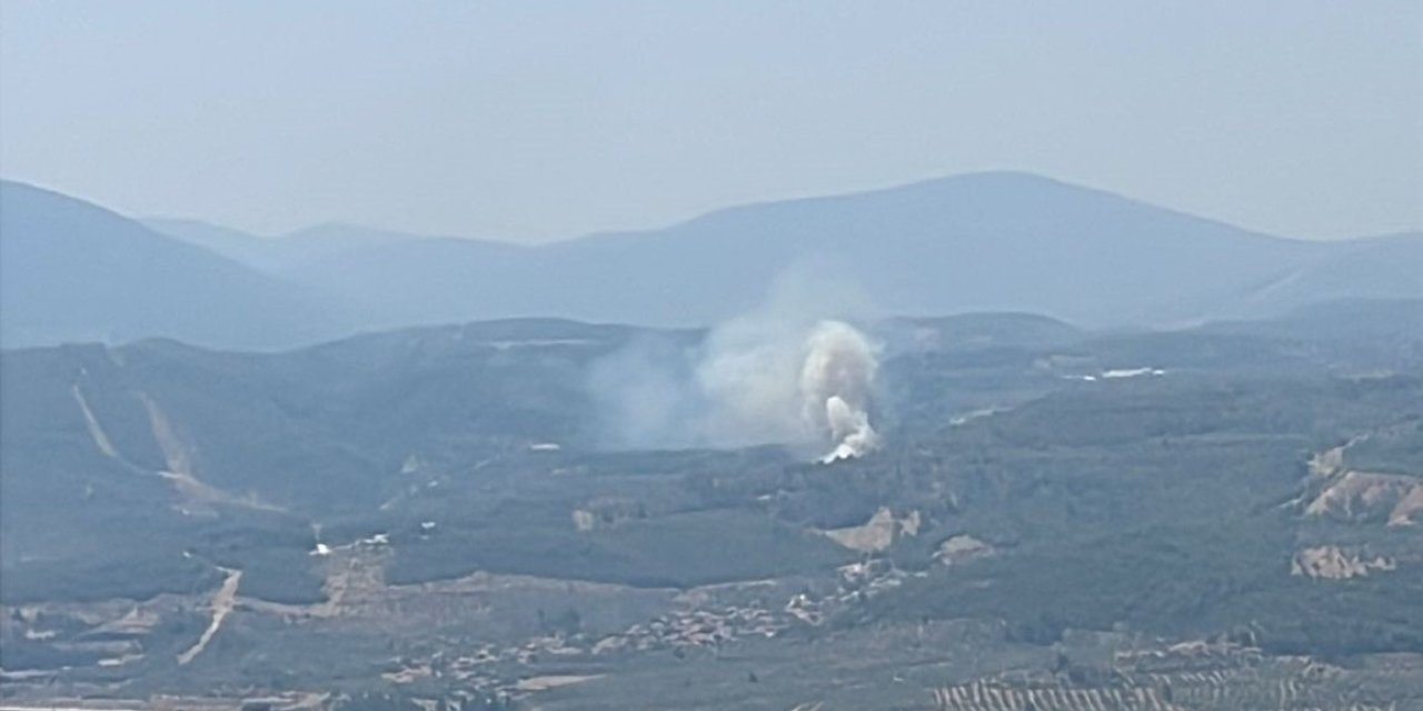 Muğla’da orman yangını