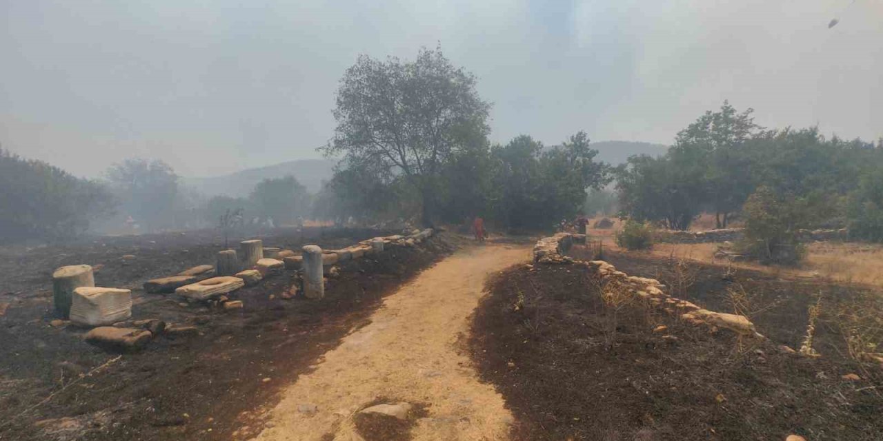 Muğla’daki yangın Stratonikia Antik kentindeki zirai alanda etkili oluyor