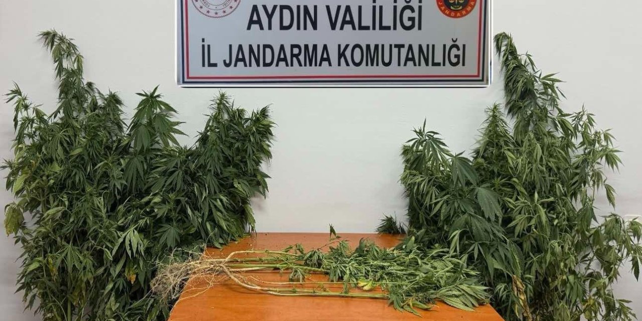 Nazilli’de uyuşturucu operasyonu