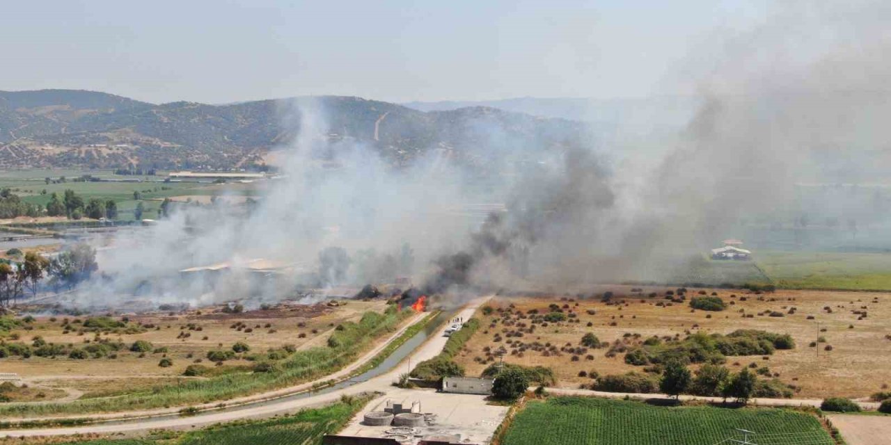 Rüzgarla büyüyen yangın, hayvan çiftliğini tehdit etti