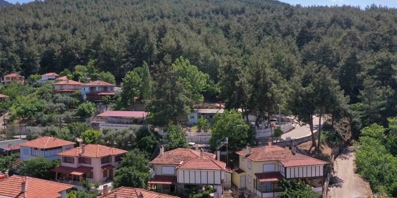 Karacasu Belediyesi’nden yangın uyarısı: "Bir kıvılcım, bir felakete sebep olabilir"
