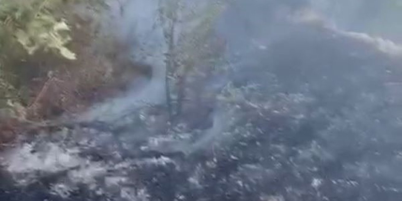 Datça’da kuru ot yangını korkuttu