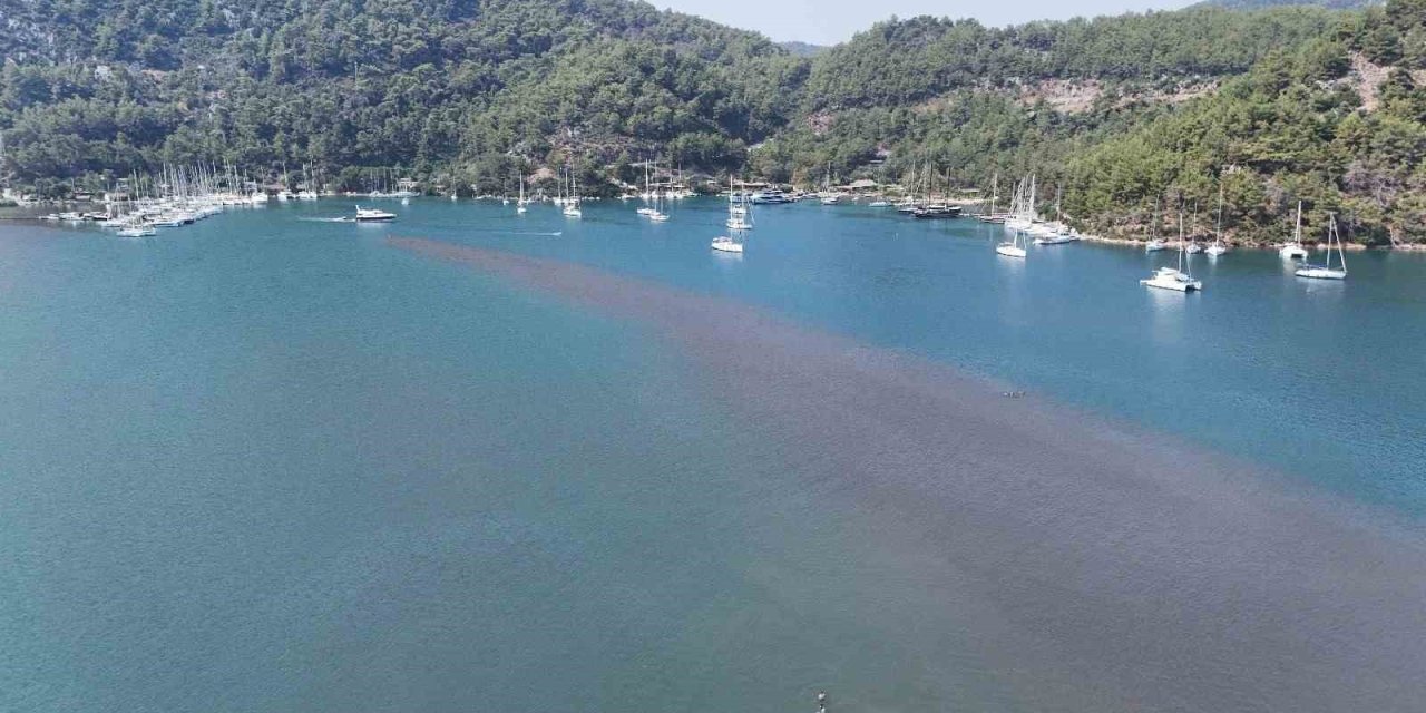 Yerli ve yabancı turistin gözdesi: Kızkumu Plajı