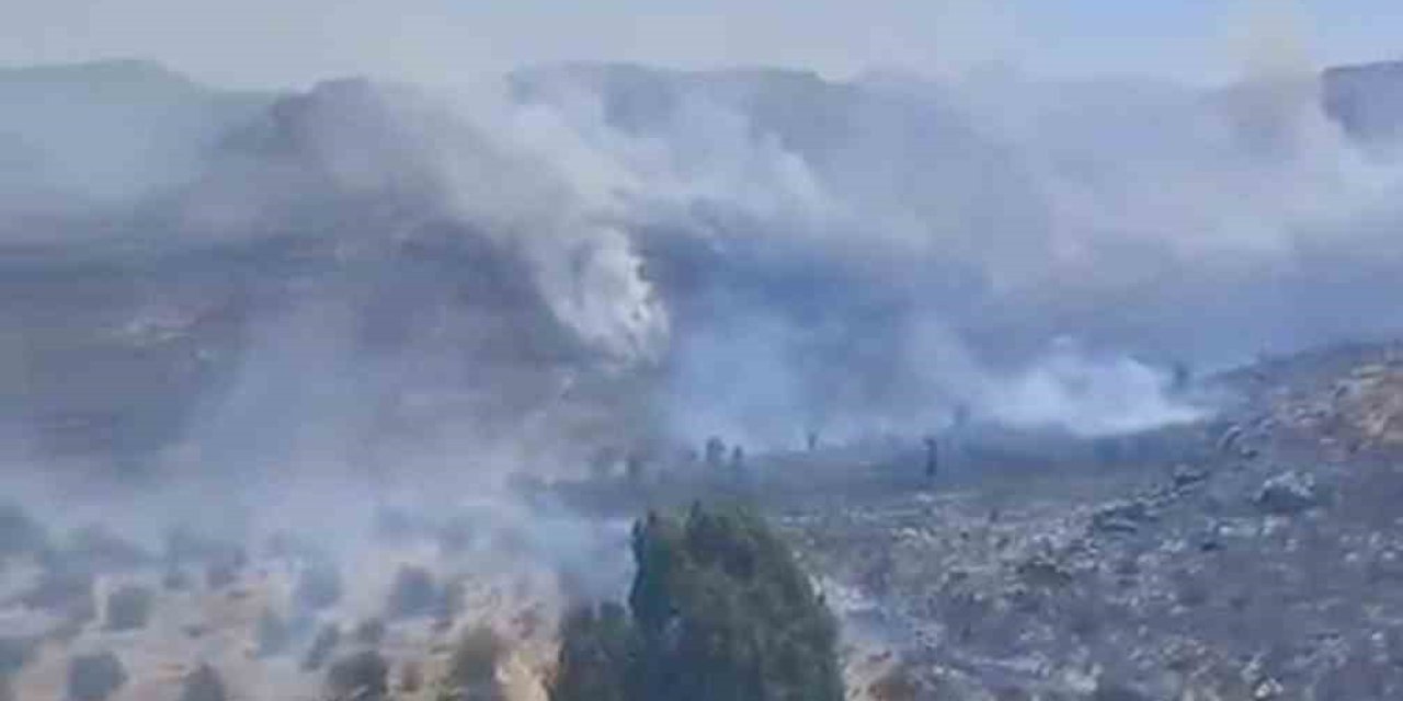 Bodrum’da otluk alanda çıkan yangın kısa sürede kontrol altına alındı