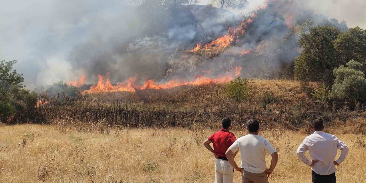 Nazilli’de zirai alanda çıkan yangın kontrol altına alındı