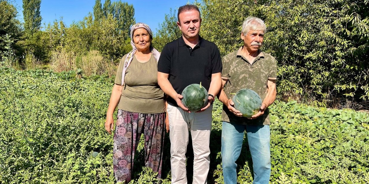 Karabağlar Yaylası’nda tarımsal projeler yerinde incelendi