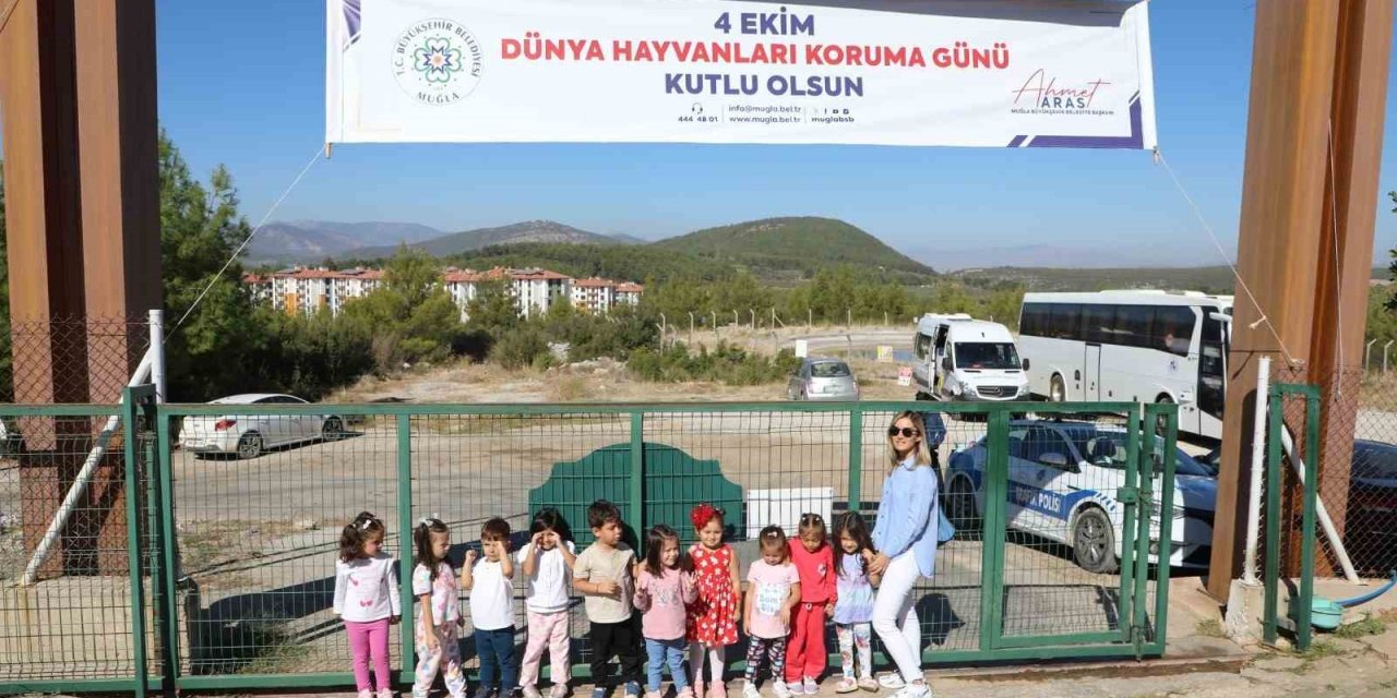 Büyükşehir Geçici Hayvan Bakımevi’nden 3 bin 779 can dosta yeni yuva