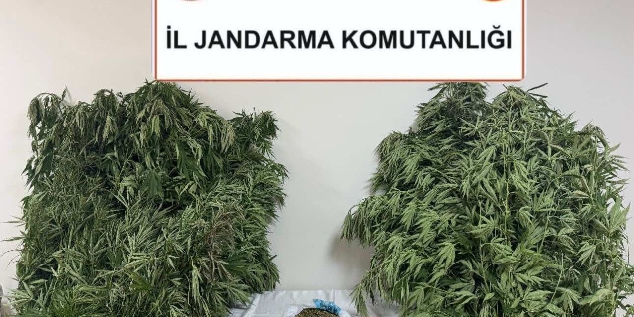 Karabağlar Yaylası’nda uyuşturucu operasyonu: 1 gözaltı