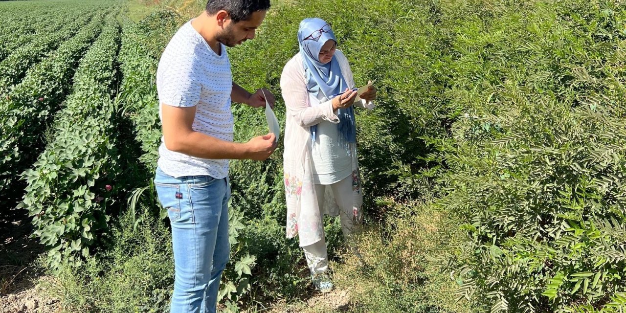 Söke’de ekipler sahaya indi, tuzaklar kontrol edildi