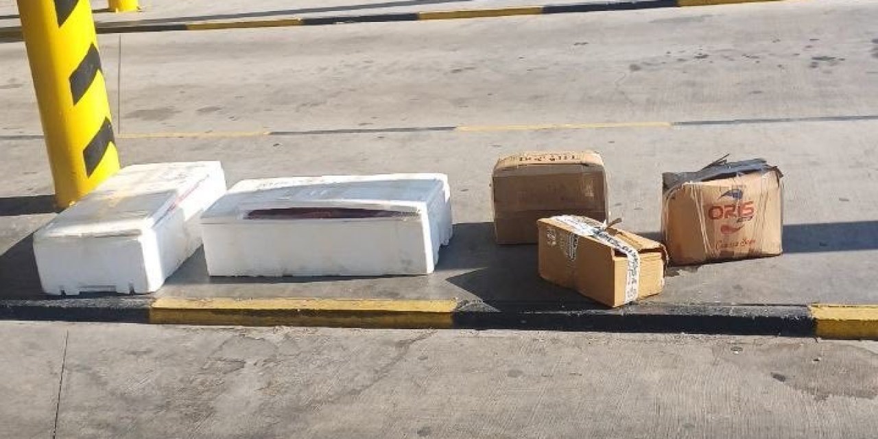 Muğla otobüs terminalinde sahipsiz midyelere el konuldu