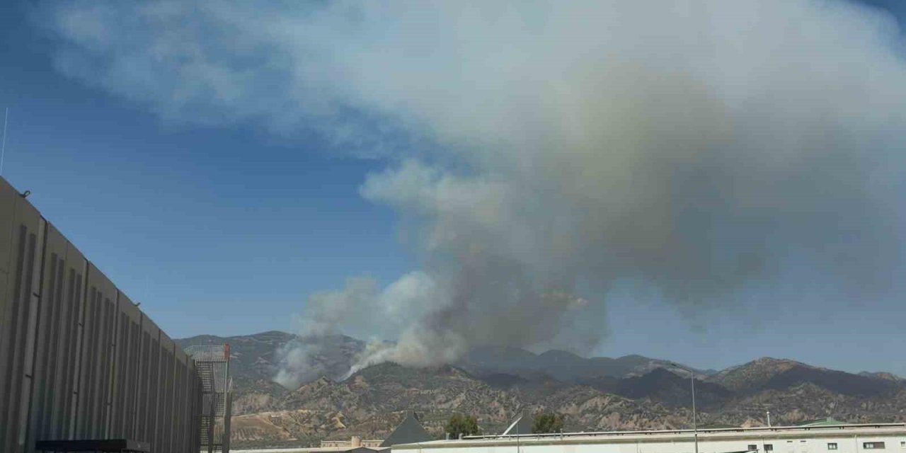 Aydın’da orman yangını