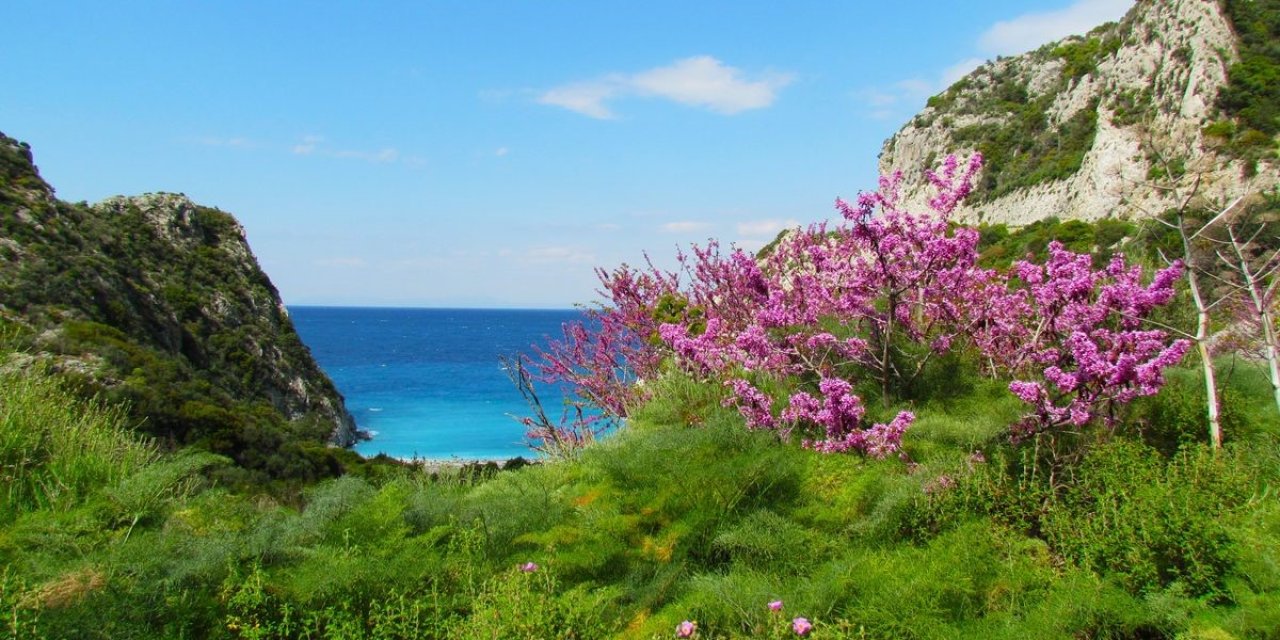 Doğaseverler ’Dilek Yarımadası’na dikkat çekti
