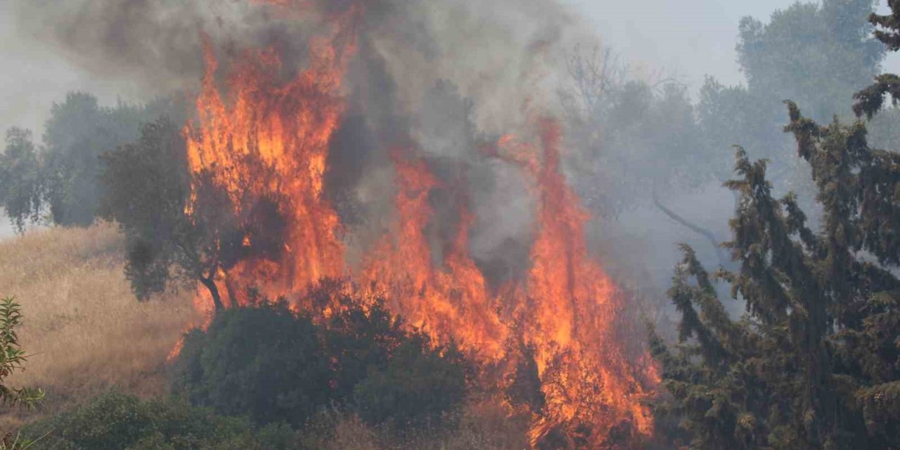 Havaya ateş açan şahıslar yangına sebep oldu