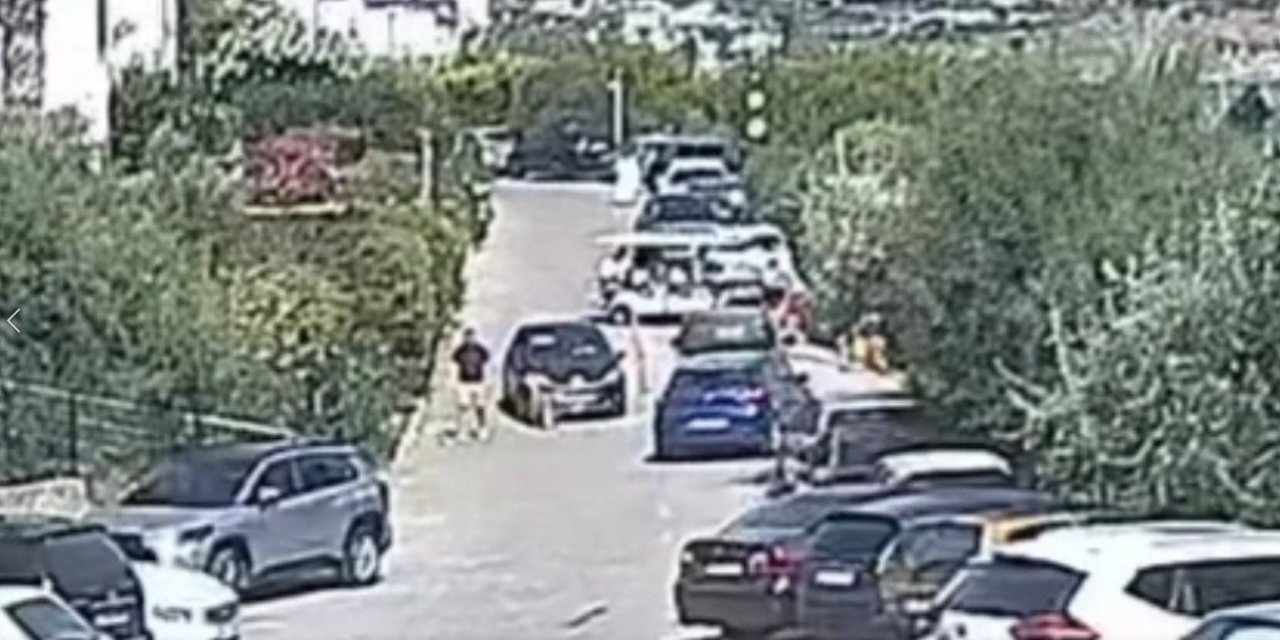 Köpeği için hukuk mücadelesi başlattı