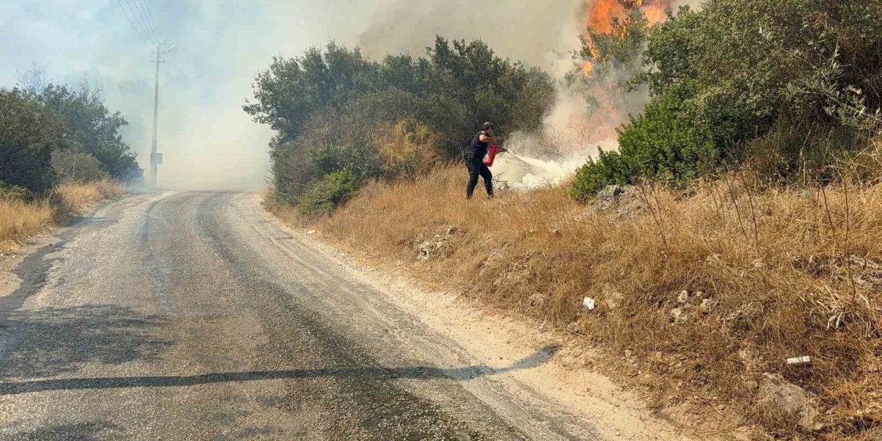 Bodrum’da makilik alanda yangın paniği: "Havadan ve karadan müdahale sürüyor"
