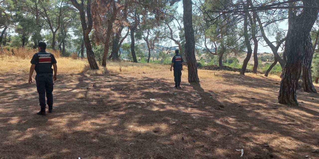 Jandarmadan orman devriyesi