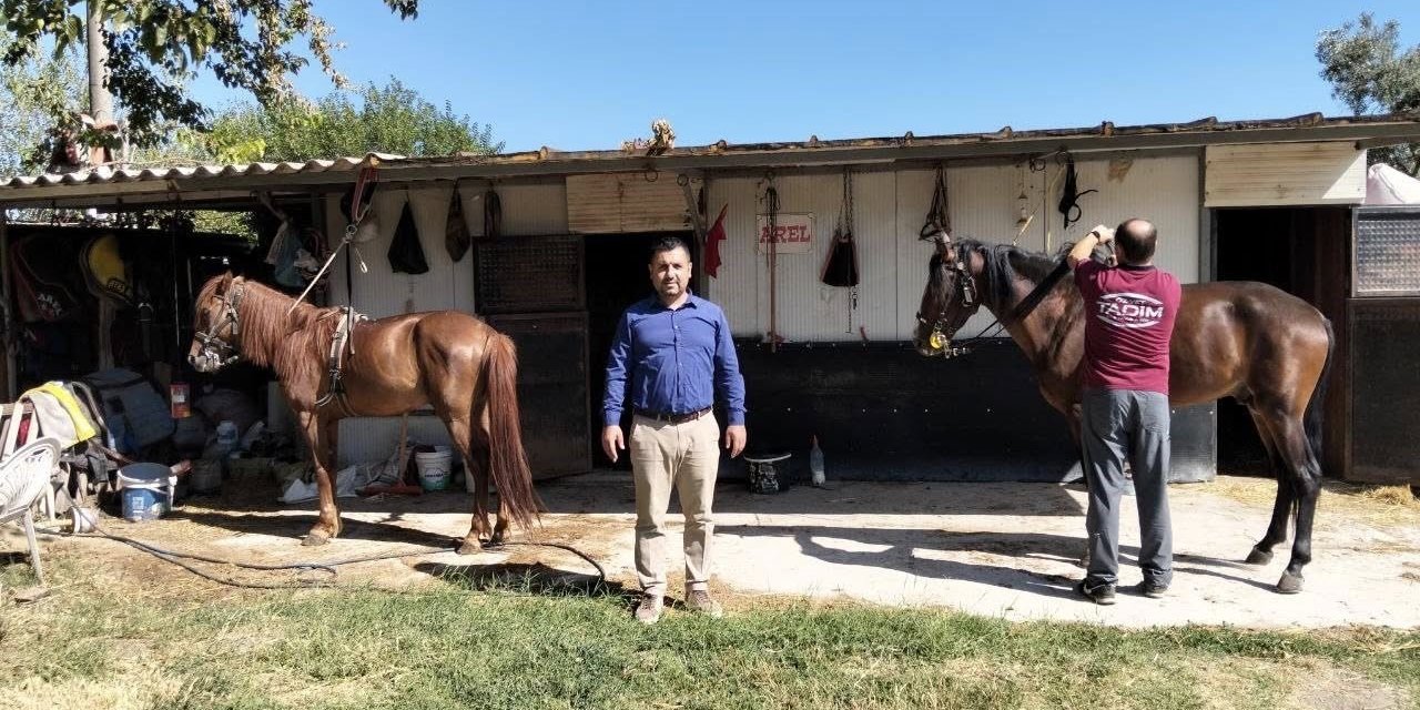 Rahvan atlarına sağlık taraması