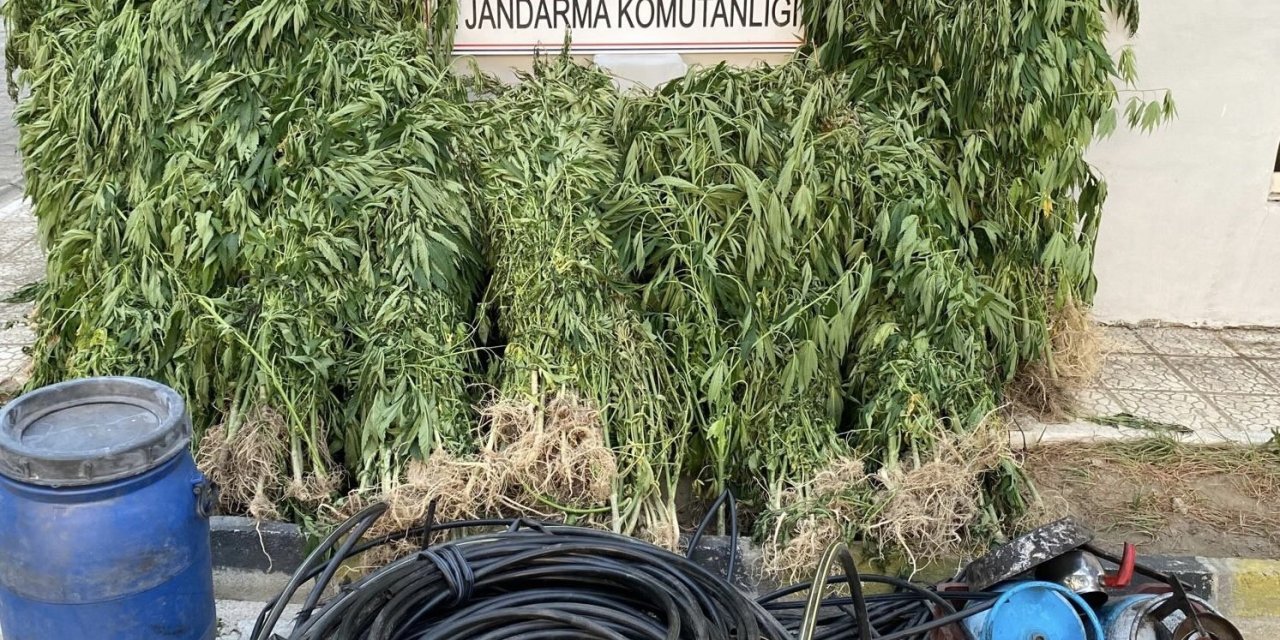 Jandarmadan uyuşturucu operasyonu: 17 yakalama