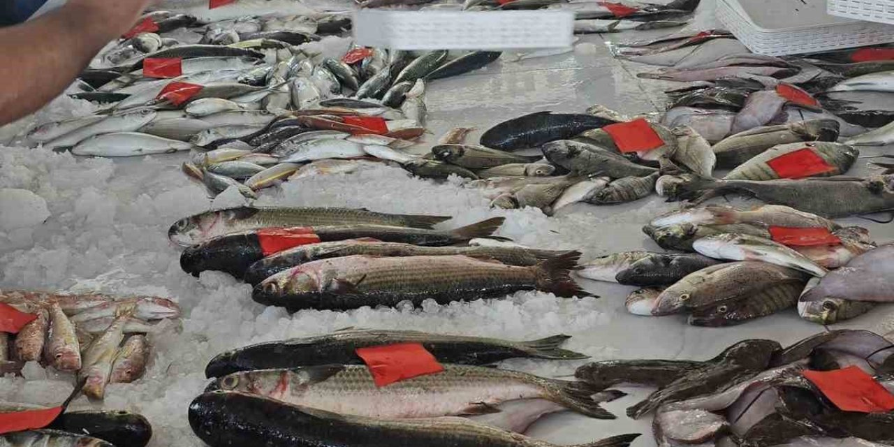 Didim’de ilk balık mezatı gerçekleştirildi