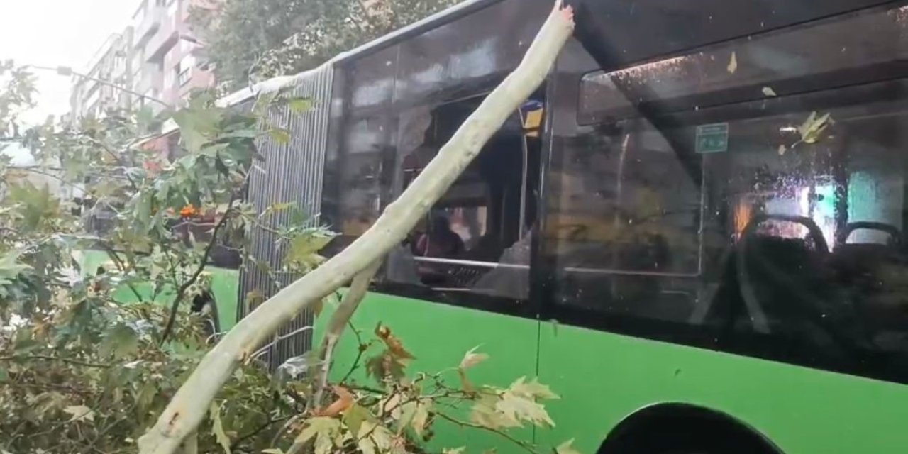 Üzerine ağaç devrilen belediye otobüsünde can pazarı