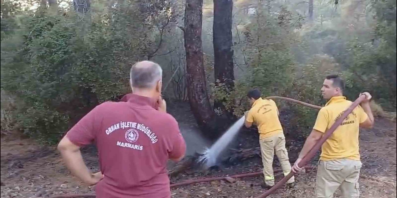Yıldırım yangını söndürüldü