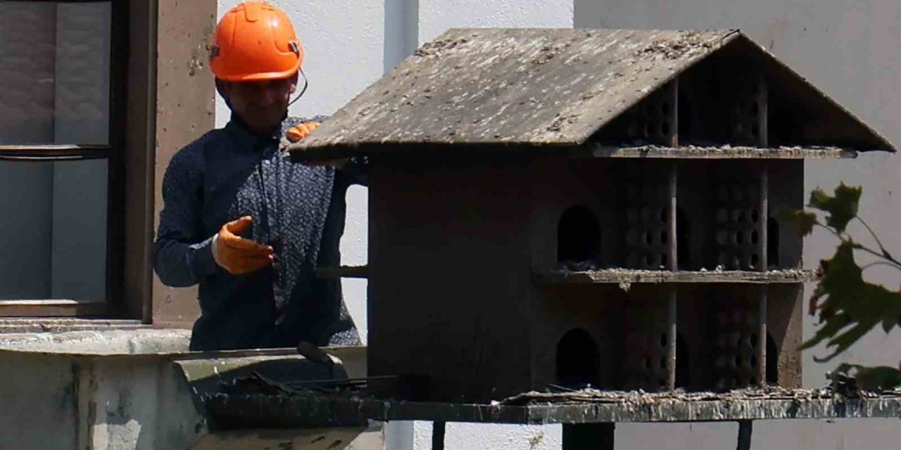 Menteşe’de güvercin yuvalarında temizlik yapıldı