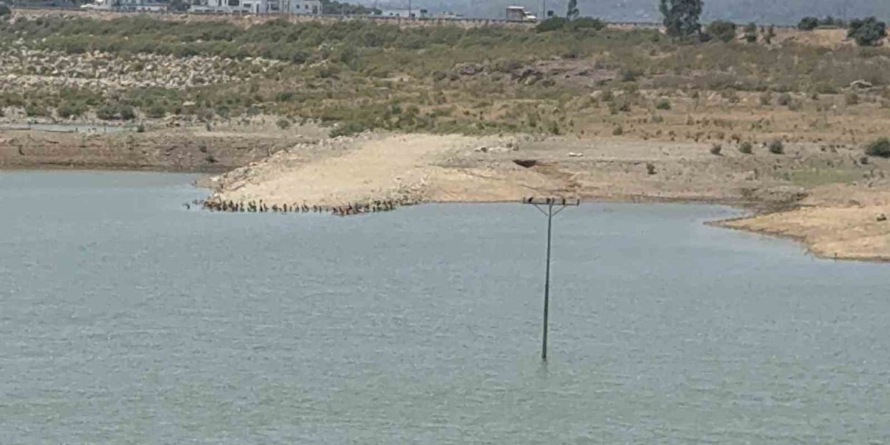 Bodrum’da su alarmı: "Barajlar kritik seviyeye geriledi"