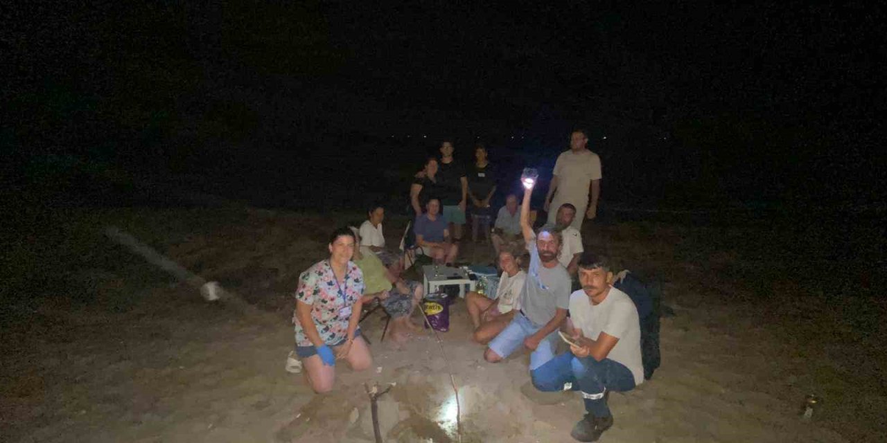 Didim’de 47 yavru caretta caretta denize ulaştı