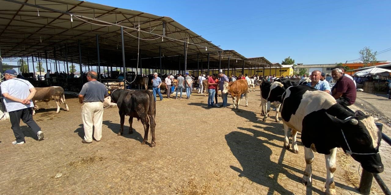 Aydın’da canlı hayvan nakliyesi ile ilgili eğitim verilecek