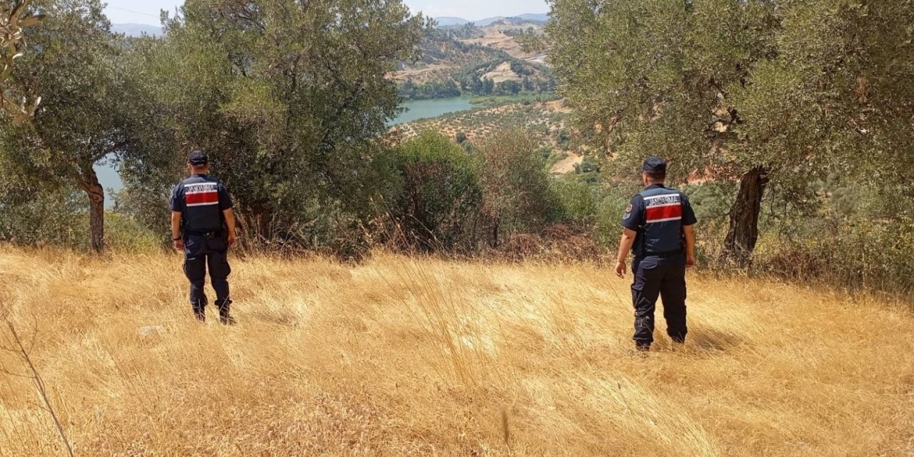 Aydın’da ormanlar jandarma gözetiminde