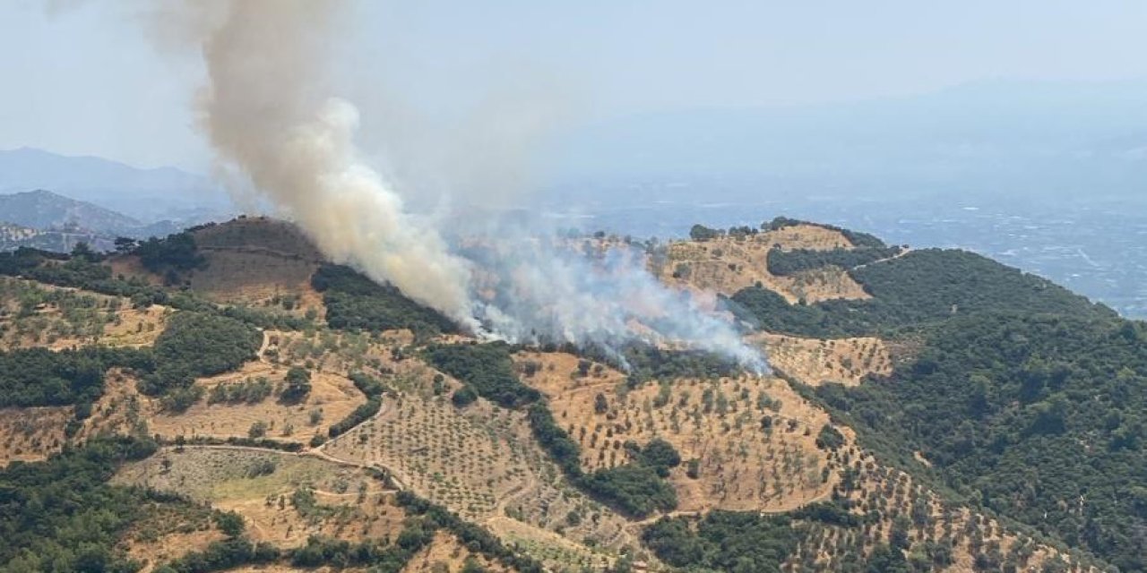 Aydın’da zirai alan yangını