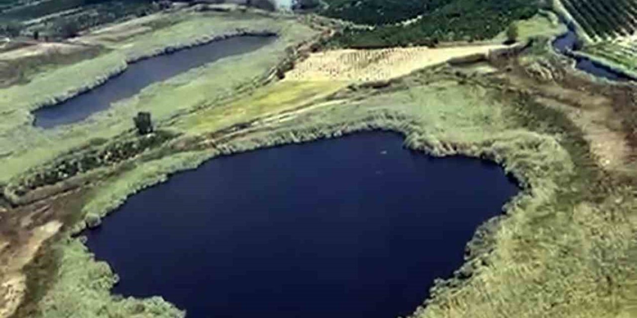 Köyceğiz sazlıklarda yangın