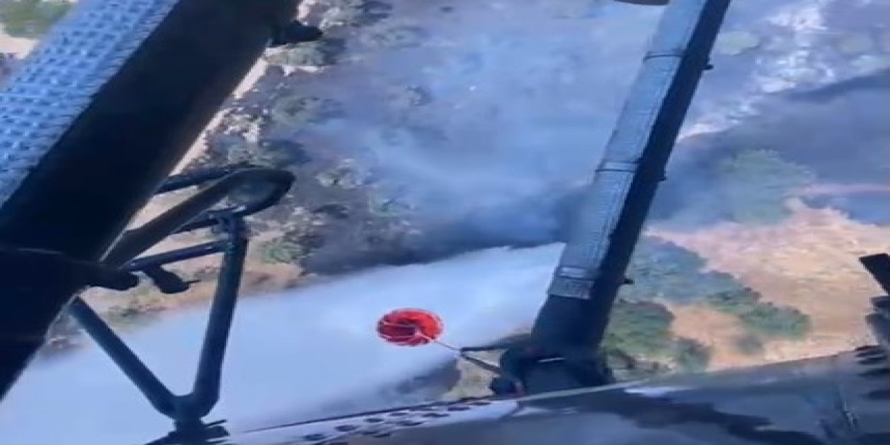 Aydın zirai alan yangını kontrol altına alındı