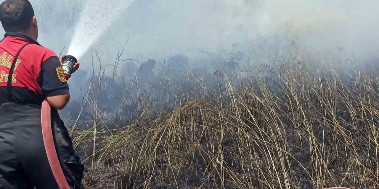 Köyceğiz sazlık yangınında soğutma çalışması yapılıyor