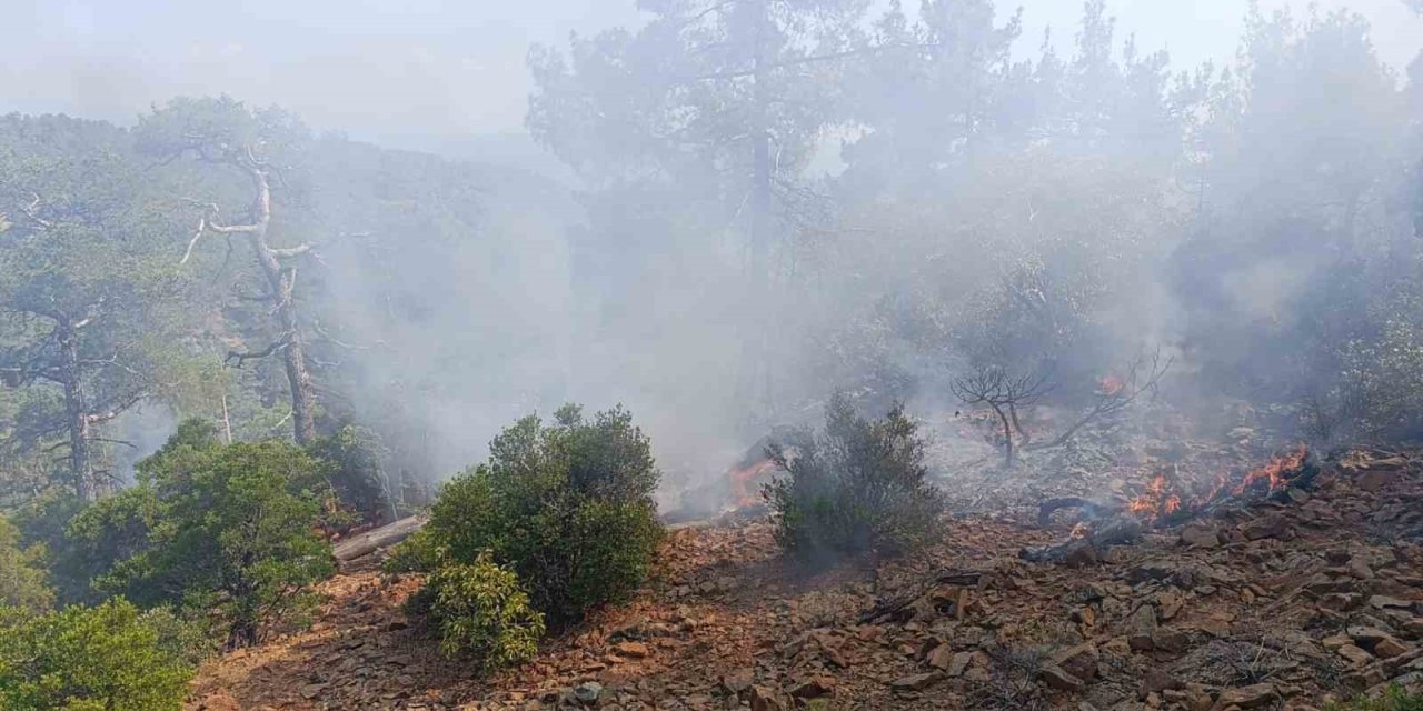 Denizli’de günler önce düşen yıldırım orman yangınına neden oldu