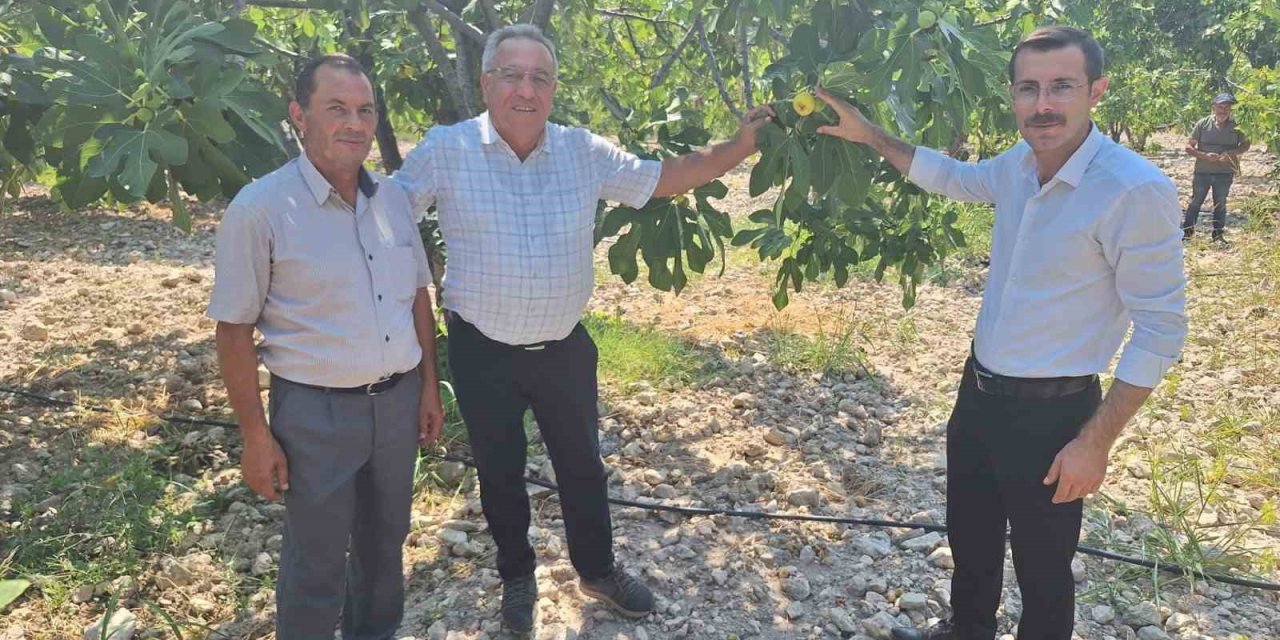 Kaymakam Polat, incir üreticileriyle bir araya geldi