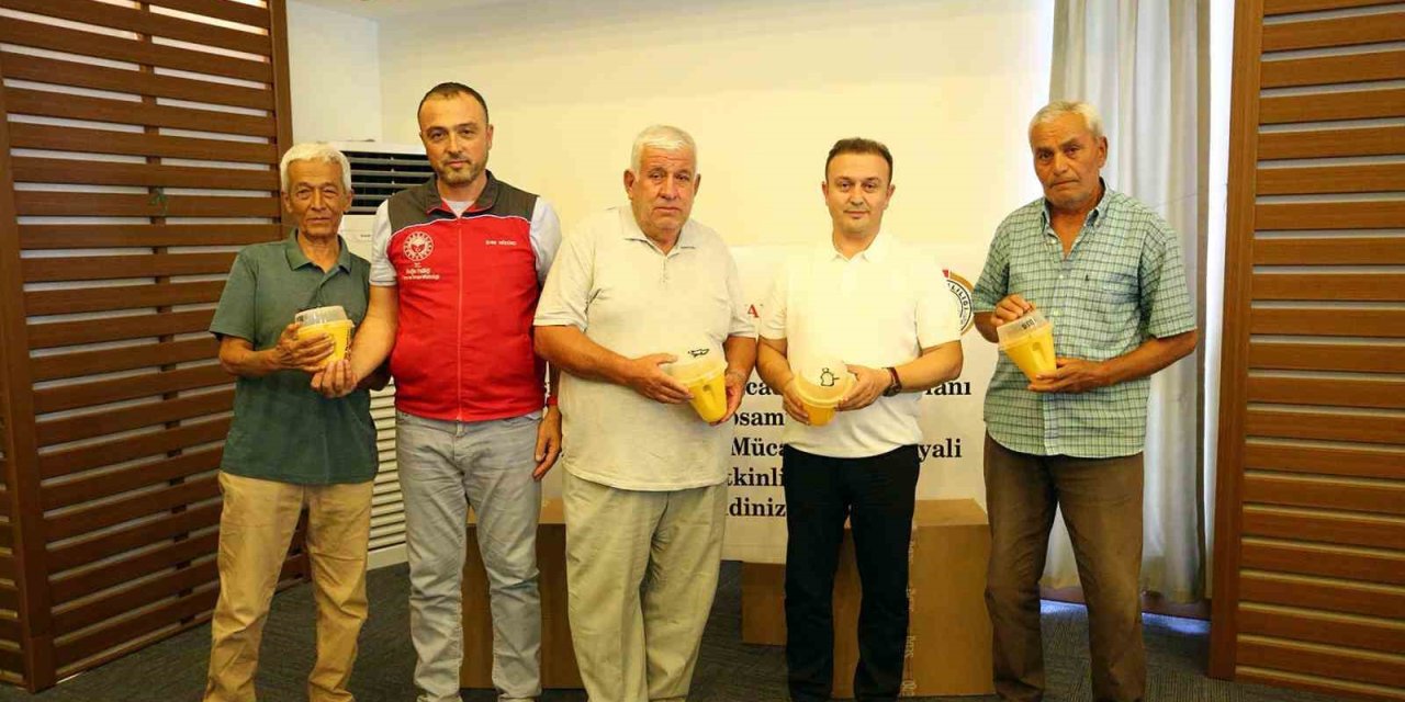 Akdeniz Meyve Sineği ile mücadele için tuzak dağıtım