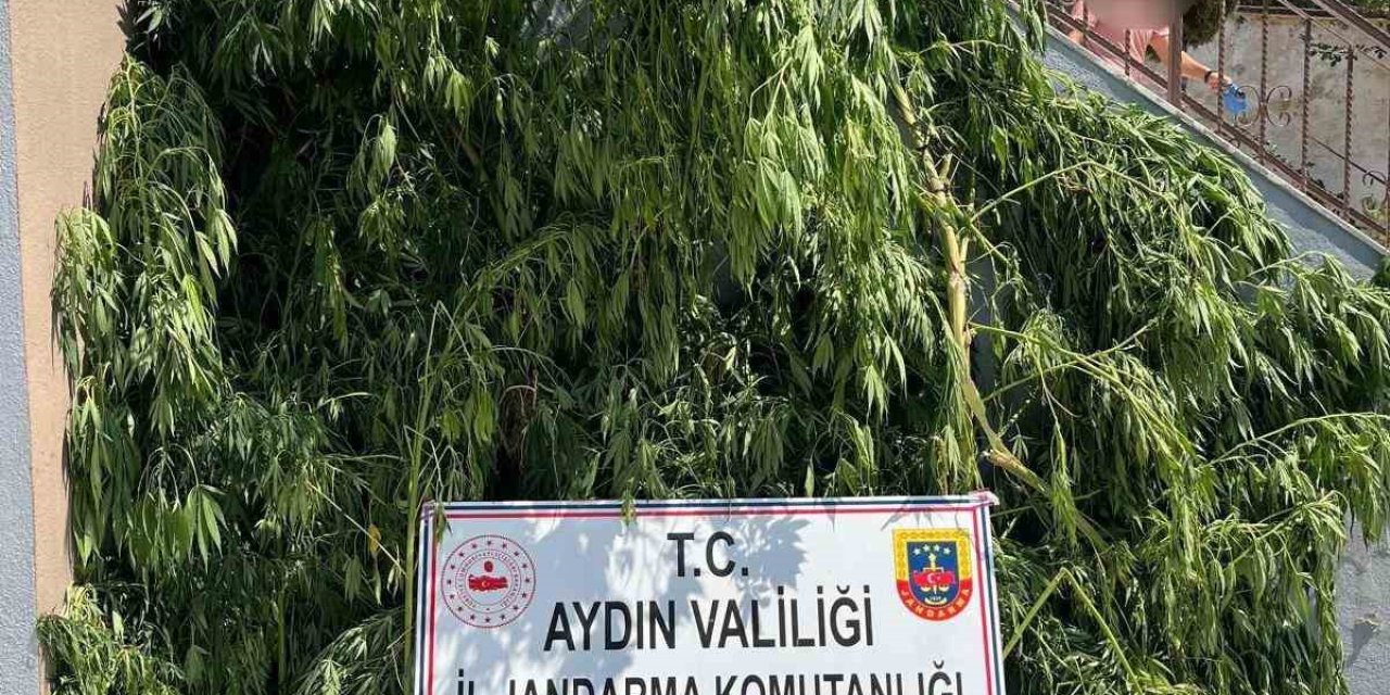 Evinin bahçesine saklamak istedi, narkotik köpeğine takıldı