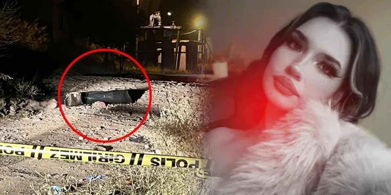 Üniversiteli genç kız cinayeti: Çelişkili ifadeler ve gözaltılar