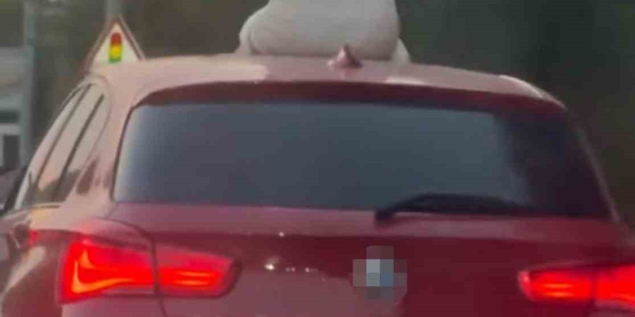 Çeşme’de otomobil sunroofunda twerk dansı adliyelik oldu