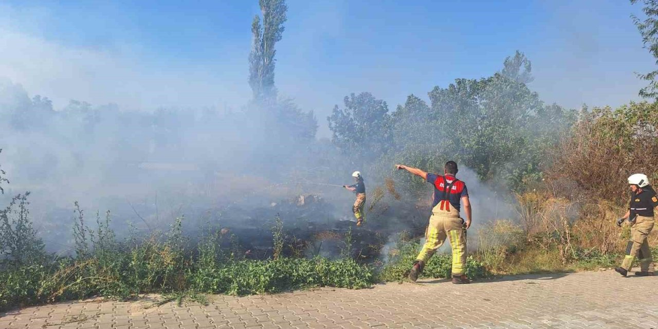 Selçuk’ta sazlık alanda yangın paniği
