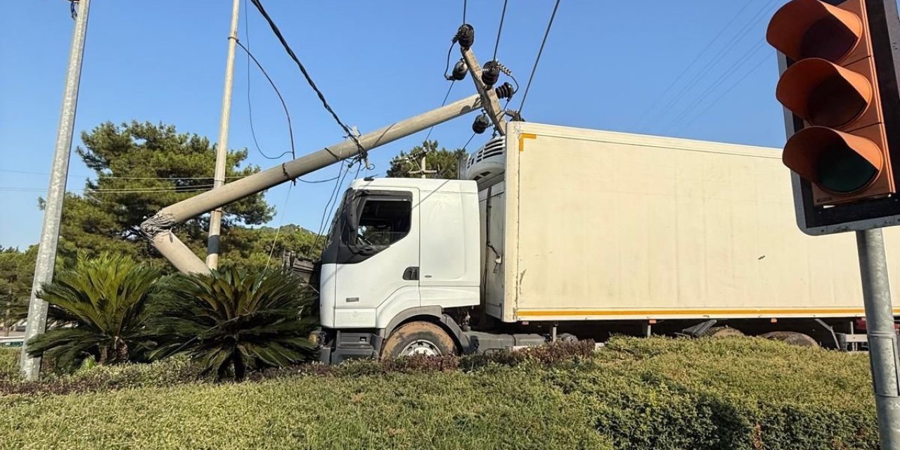 Freni tutmayan kamyon aydınlatma direğini ikiye böldü