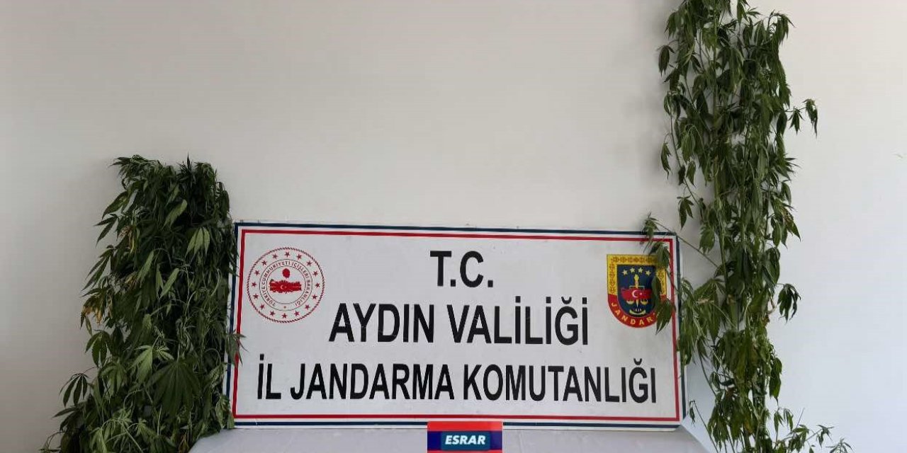 Aydın’da uyuşturucu operasyonu: 13 şüpheli yakalandı